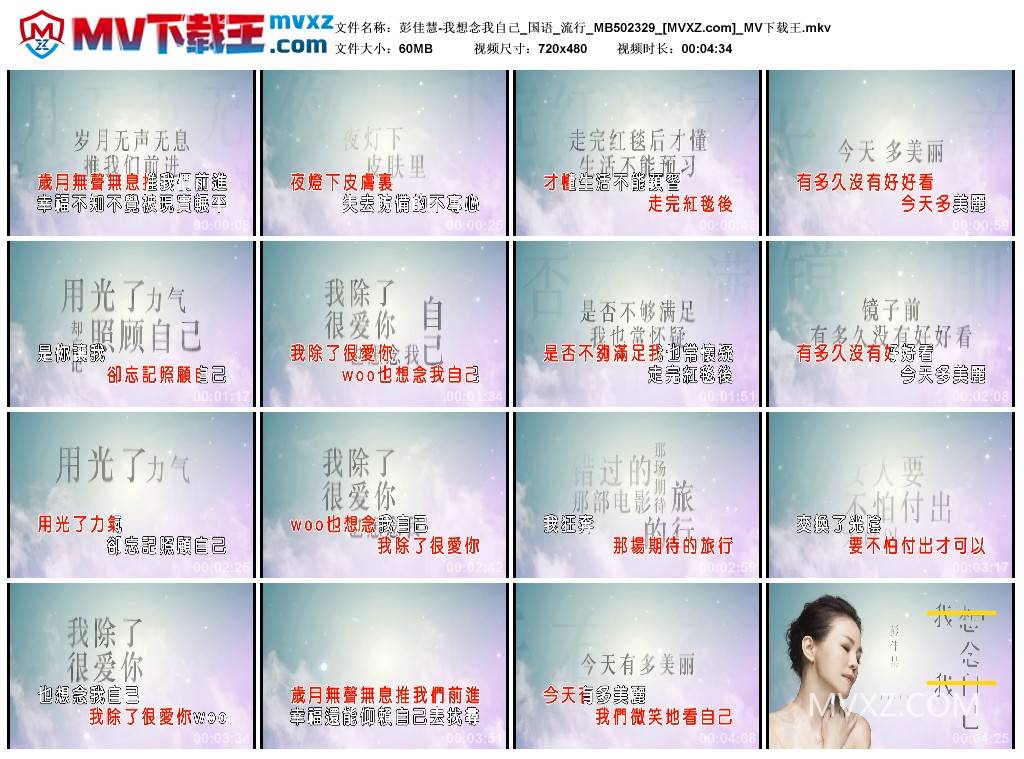 彭佳慧-我想念我自己_国语_流行_MB502329